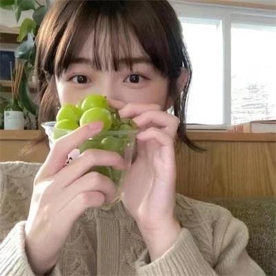 白狼勇士